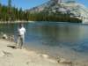 Photo Number 14